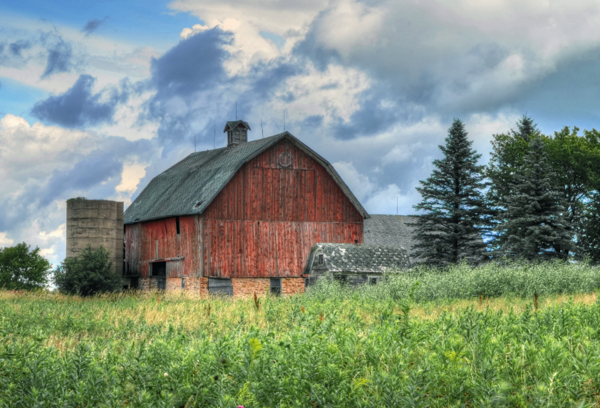Best Livestock Cameras for Established Ranch Operations