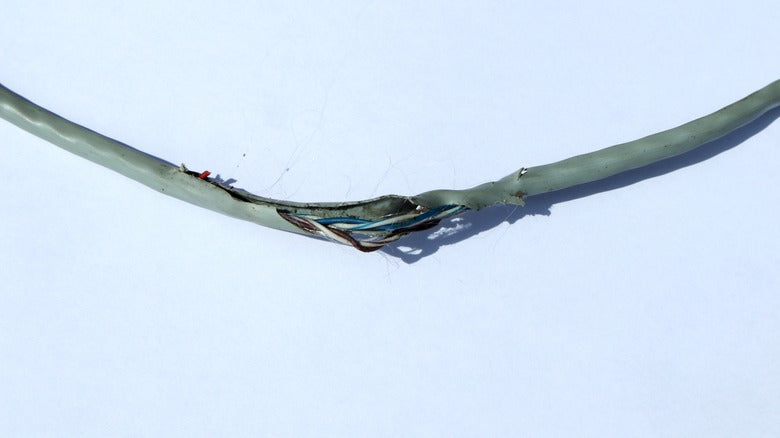 How to Inspect Cat5e Cable on an Outdoor Barn Camera
