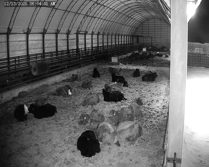 Twin 25x PTZ Large Barns or Yards