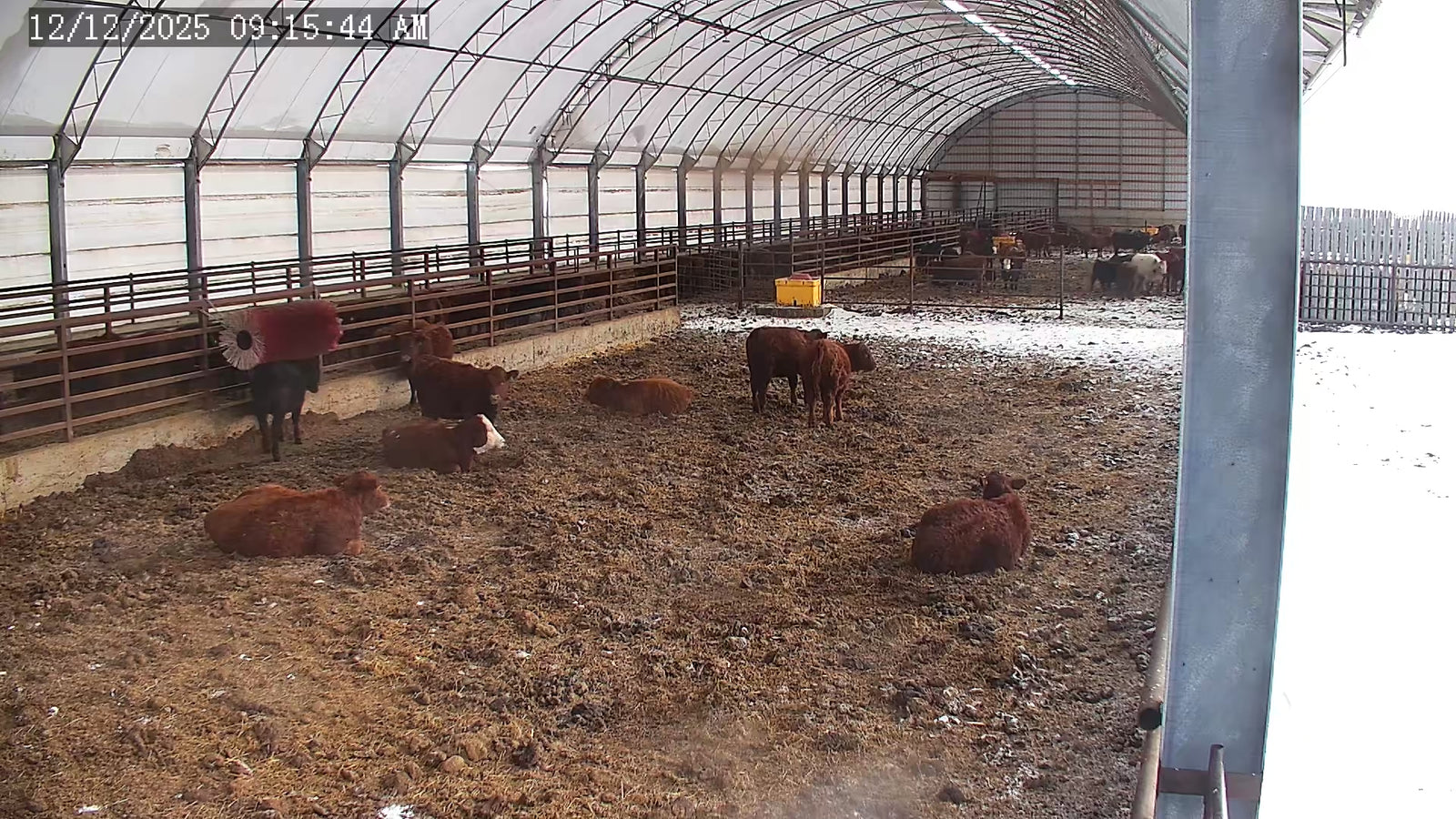 Twin 25x PTZ Large Barns or Yards