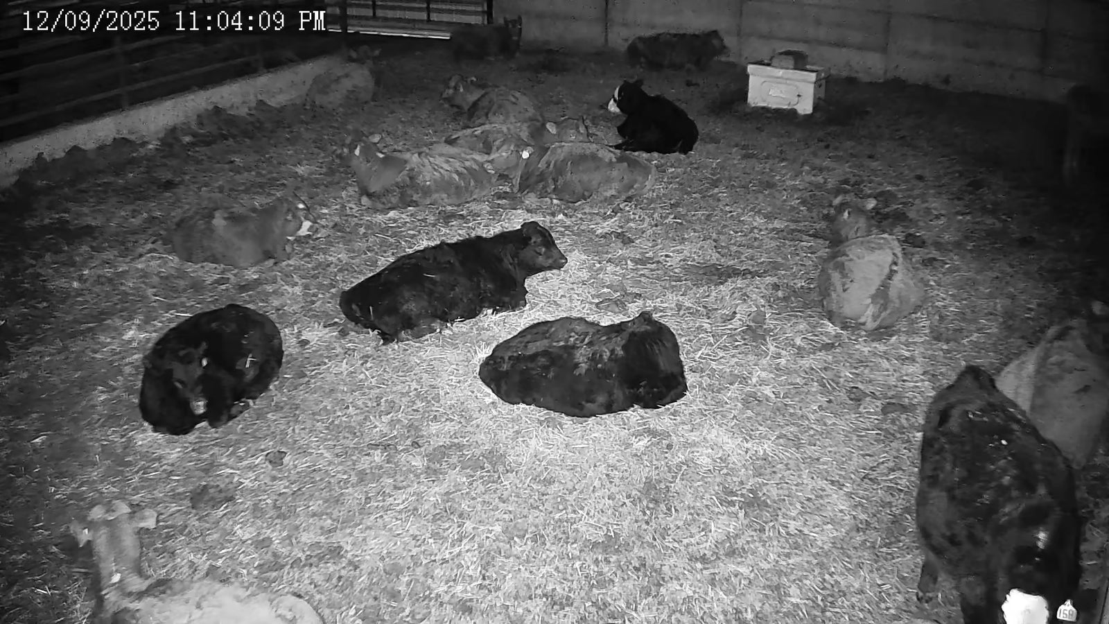 Twin 5x PTZ Kit for low barns