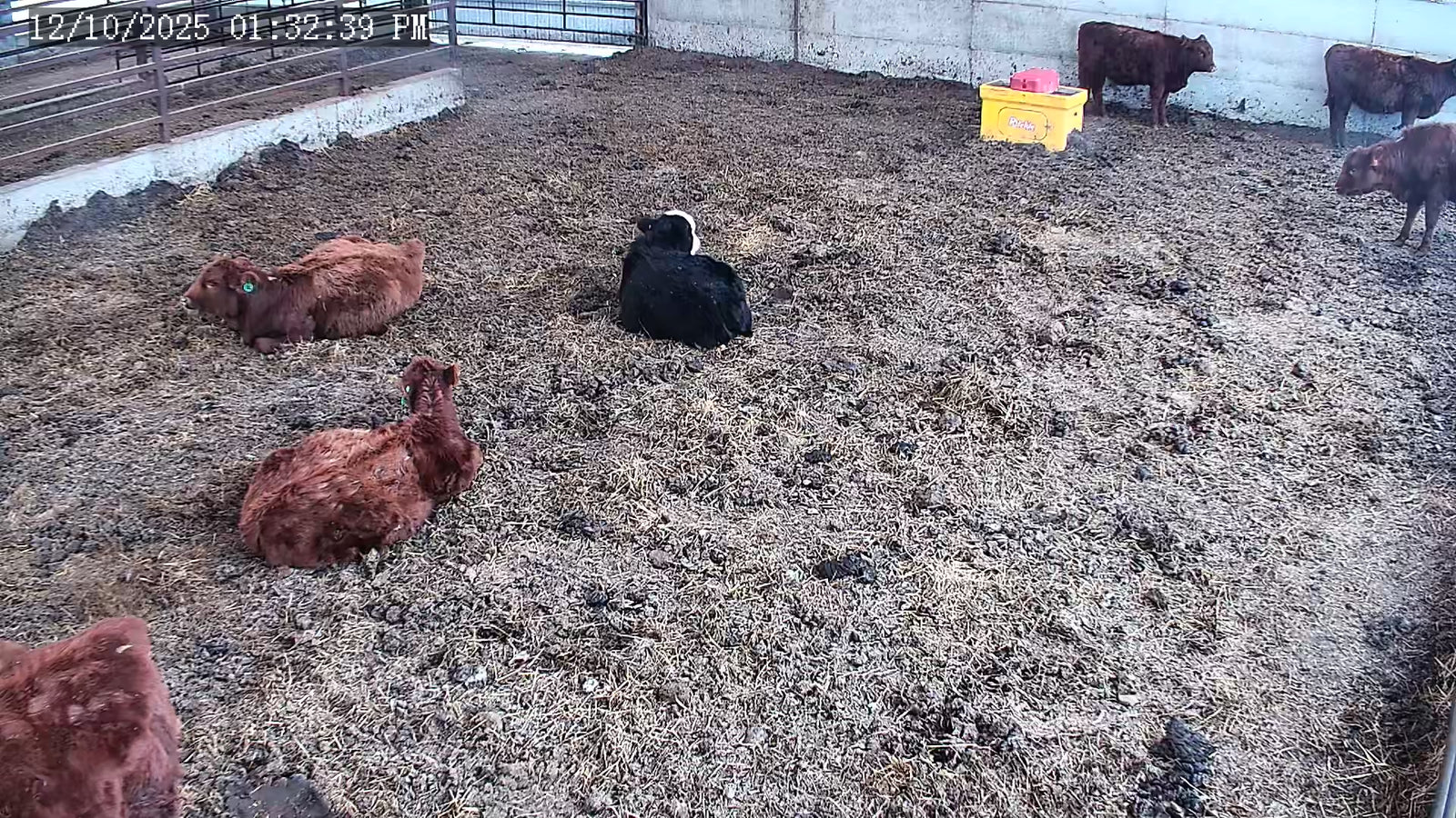 Twin 25x PTZ Large Barns or Yards